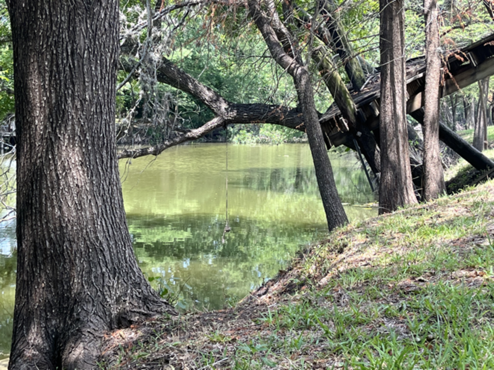 Creek in Castroville, TX