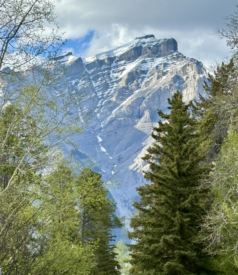 Looking down Banff Ave